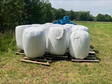 Midi balen. Eerste snede 2025, Enlèvement