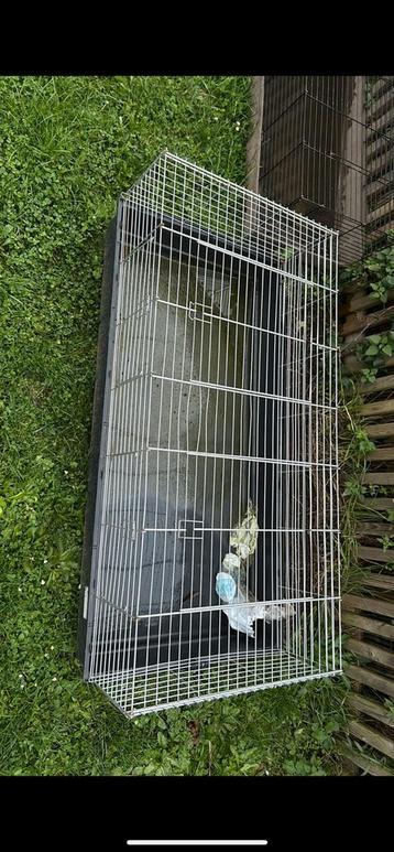 2 grande cage lapin/ rongeur  disponible aux enchères