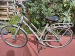 Giant cosmo cs1 damesfiets, Fietsen en Brommers, Fietsen | Dames | Damesfietsen, Ophalen, Versnellingen, Giant, 53 tot 56 cm
