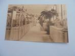 antwerpen - de zoo -kruipdierenhuis, Ophalen of Verzenden, 1920 tot 1940, Gelopen, Antwerpen