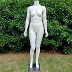 Dames paspop/mannequin, 170 cm hoog, Ophalen, Zo goed als nieuw