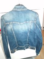 Veste, Ophalen, Blauw, Maat 42/44 (L), Zo goed als nieuw