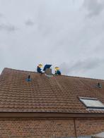 Pottelberg stormpannen - prijs o.t.k., Ophalen, Gebruikt, Steen of Klei, 15 m² of meer