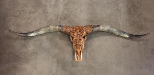 Longhoorn skull dierenschedel longhorn skulls dierenhoofd, Huis en Inrichting, Woonaccessoires | Wanddecoraties, Nieuw, Verzenden