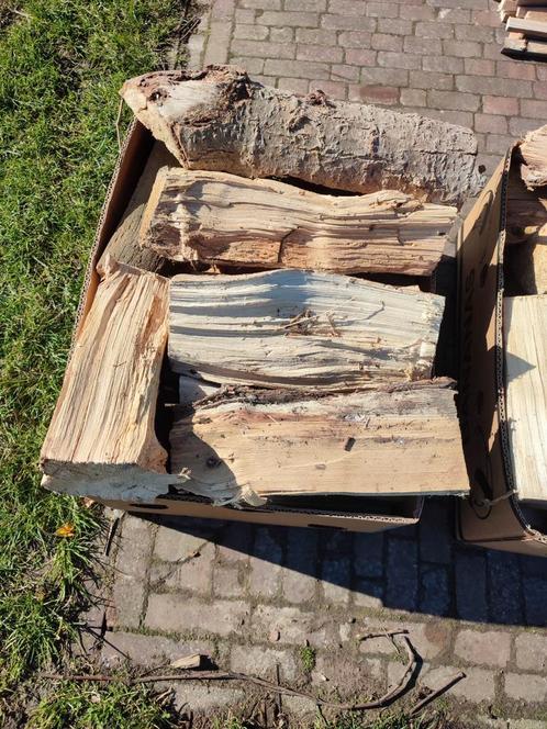 Brandhout grenen / vogelkers, Tuin en Terras, Brandhout, Blokken, Ophalen