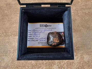Meteoriet (50,76 gr) met fusion-crust EN certificaat! beschikbaar voor biedingen