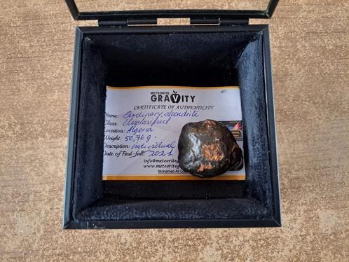 Meteoriet (50,76 gr) met fusion-crust EN certificaat!, Verzamelen, Mineralen en Fossielen, Ophalen of Verzenden