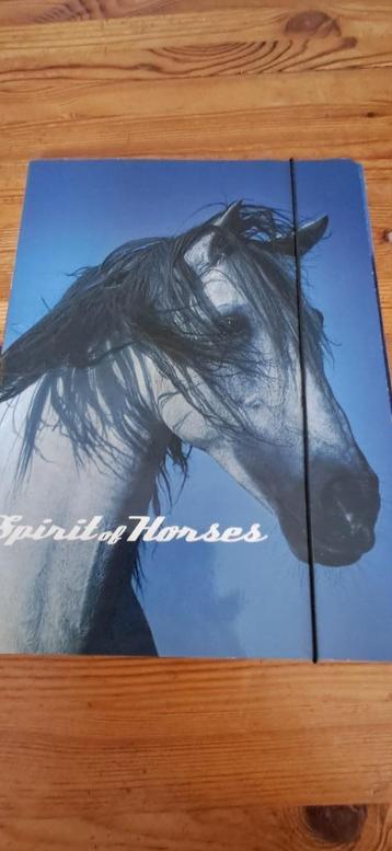 Mappen 2 elastomappen met paarden A4 / prijs voor 2 beschikbaar voor biedingen