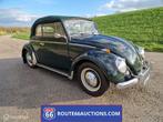 Volkswagen Beetle cabriolet | 1962 | Route 66 Auctions, Auto's, Volkswagen, Zwart, Bedrijf, Handgeschakeld