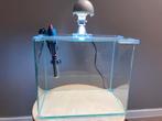 Aquarium 15 liter met lamp en verwarmingselement, Dieren en Toebehoren, Ophalen, Zo goed als nieuw