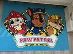 Tapijt paw patrol, Enlèvement