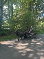 Men tuig voor grote shetland maat, Dieren en Toebehoren
