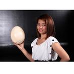 Sauropod Egg decoratie – Dinosaurus