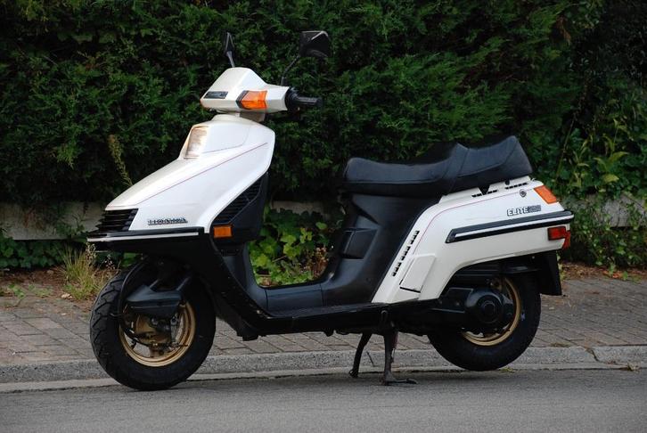 SCOOTER HONDA ELITE 250 / CH 250 / SPACY 250, Motoren, Motoren | Oldtimers, Scooter, 12 t/m 35 kW, 1 cilinder, Motorrijbewijs A