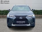 Lexus UX 250h Business Line+cam+nav+Sens V&A, Automaat, Overige brandstoffen, 184 pk, 5 deurs
