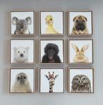 Babydieren op canvas in houten kader, Ophalen, Zo goed als nieuw