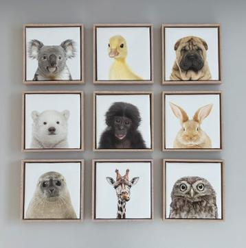 Babydieren op canvas in houten kader beschikbaar voor biedingen