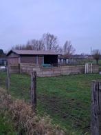 Weide met stal, Immo, Terrains & Terrains à bâtir, Zonnebeke 8980, 1500 m² ou plus