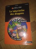 Livre le labyrinthe des dragons l énigme des vacances  popet, Livres, Livres pour enfants | Jeunesse | 10 à 12 ans, Enlèvement ou Envoi