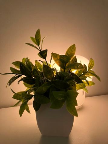Fake plant beschikbaar voor biedingen