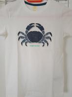 HEMA T SHIRT T134, Kinderen en Baby's, Kinderkleding | Maat 134, Ophalen, Nieuw