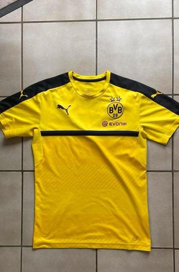Bvb voetbaltruitje small/medium beschikbaar voor biedingen