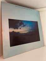 The Saints - Een beetje waanzin om vrij te zijn, Ophalen of Verzenden, Gebruikt, 12 inch, Alternative