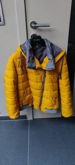 winterjas dames, Kleding | Dames, Jassen | Winter, Ophalen of Verzenden, Gedragen, Maat 38/40 (M), Overige kleuren