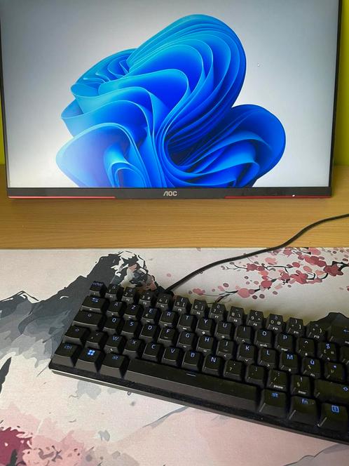 Razor hunstman mini + beeldscherm 240hz, Computers en Software, Monitoren, Gaming, Ophalen
