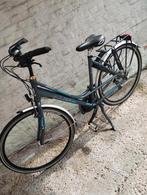 Damesfiets Norta LRC20....24v...maat 52...0478028005, Fietsen en Brommers, Fietsen | Dames | Damesfietsen, Ophalen of Verzenden