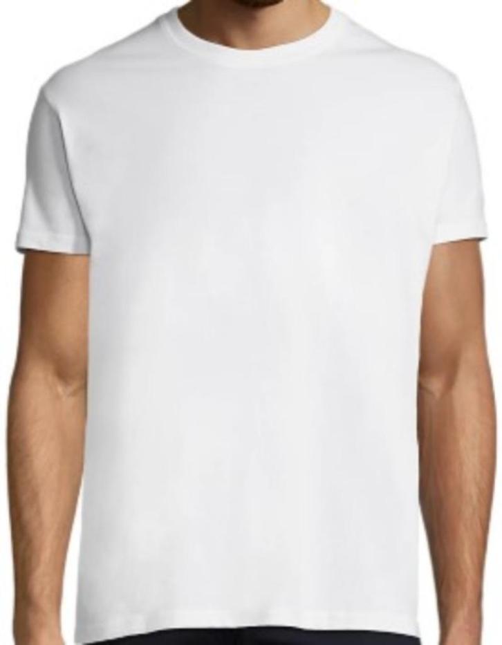 T' shirts SOL'S Imperial 11500 (LOT 9), Kleding | Heren, T-shirts, Nieuw, Maat 48/50 (M), Wit, Ophalen