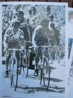 Bernard Hinault 1981 Ronde Van Frankrijk, Ophalen of Verzenden, Zo goed als nieuw, Poster, Plaatje of Sticker