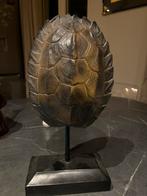 Schild Van Schildpad, Ophalen of Verzenden, Zo goed als nieuw