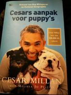Césars Millan aanpak voor puppy's boek als nieuw,, Animaux & Accessoires, Comme neuf, Enlèvement ou Envoi