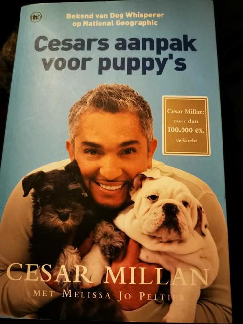 Césars Millan aanpak voor puppy's boek als nieuw,, Animaux & Accessoires, Accessoires pour chiens, Comme neuf, Enlèvement ou Envoi