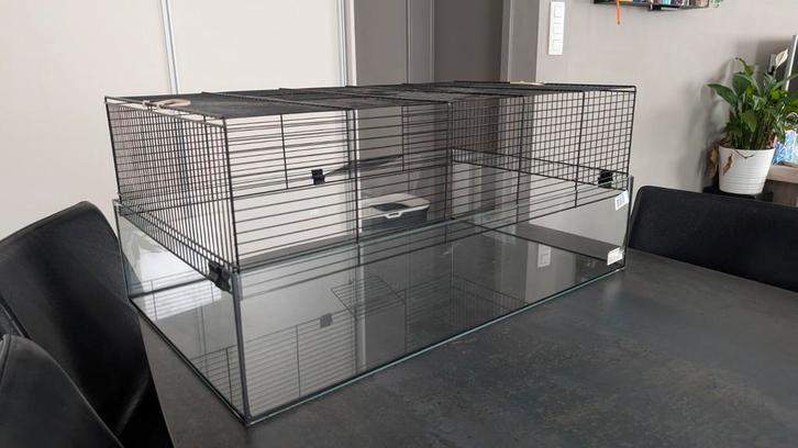 Hamster hok, Dieren en Toebehoren, Knaagdieren en Konijnen | Hokken en Kooien, Gebruikt, Kooi, Ophalen