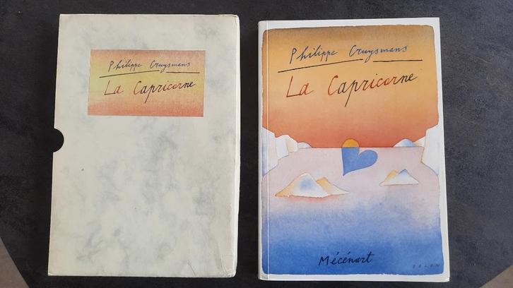 La Capricorne - Philippe Cruysmans, Livres, Littérature, Utilisé, Enlèvement ou Envoi