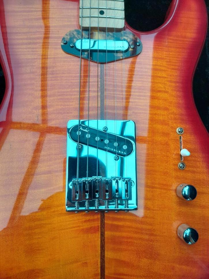 Handgebouwd ⁸, Muziek en Instrumenten, Snaarinstrumenten | Gitaren | Elektrisch, Zo goed als nieuw, Fender, Ophalen