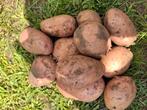 Aardappelen, Tuin en Terras, Ophalen, Zo goed als nieuw