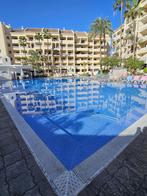 Zon vakantie Tenerife, Vakantie