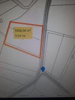 landbouwgrond te koop, Immo, Gronden en Bouwgronden, Hamont, Verkoop zonder makelaar, 1500 m² of meer