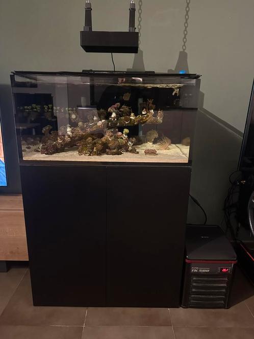 Zeeaquarium 270l Shallow reef ReefStart 90 met koraal en vis, Dieren en Toebehoren, Vissen | Aquaria en Toebehoren, Zo goed als nieuw