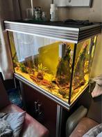 Aquarium Trofis, Animaux & Accessoires, Enlèvement, Utilisé, Aquarium vide