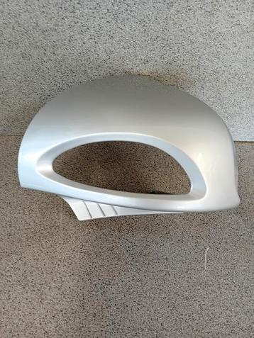 Spiegelkap Titaanzilver beschikbaar voor biedingen