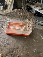 Vogel kooi, Ophalen, Gebruikt, Vogelkooi