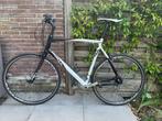 Koga Racefiets / Fitnessfiets – Shimano Tiagra – Groot Frame, Fietsen en Brommers, Fietsen | Racefietsen, Ophalen, 28 inch, Gebruikt