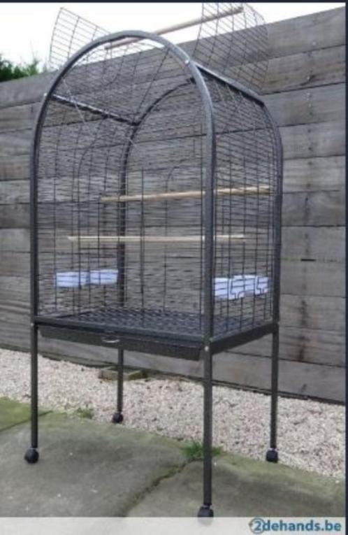 Cage à perroquets Reno, Animaux & Accessoires, Oiseaux | Cages & Volières, Neuf, Cage à oiseaux, Métal, Enlèvement ou Envoi