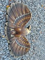 Houten vogel, Antiek en Kunst, Ophalen of Verzenden