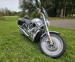 Harley Davidson V-Rod, Motoren, Motoren | Harley-Davidson, 2 cilinders, 1130 cc, Particulier, Meer dan 35 kW
