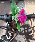 Vélo Liv Embolden ROSEWOOD, Fietsen en Brommers, Ophalen, Zo goed als nieuw, Giant